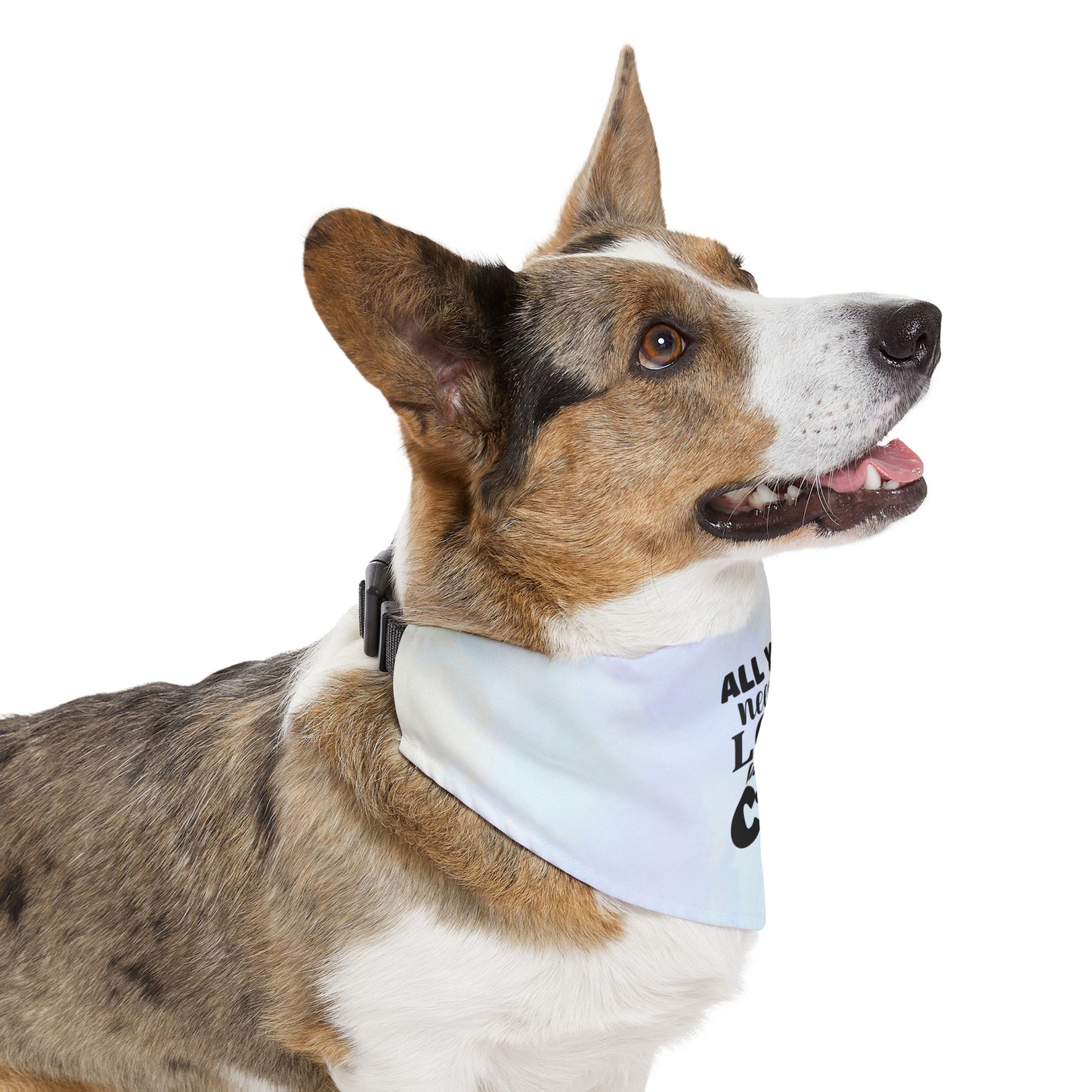 All you need is Love - Pet Bandana Collar