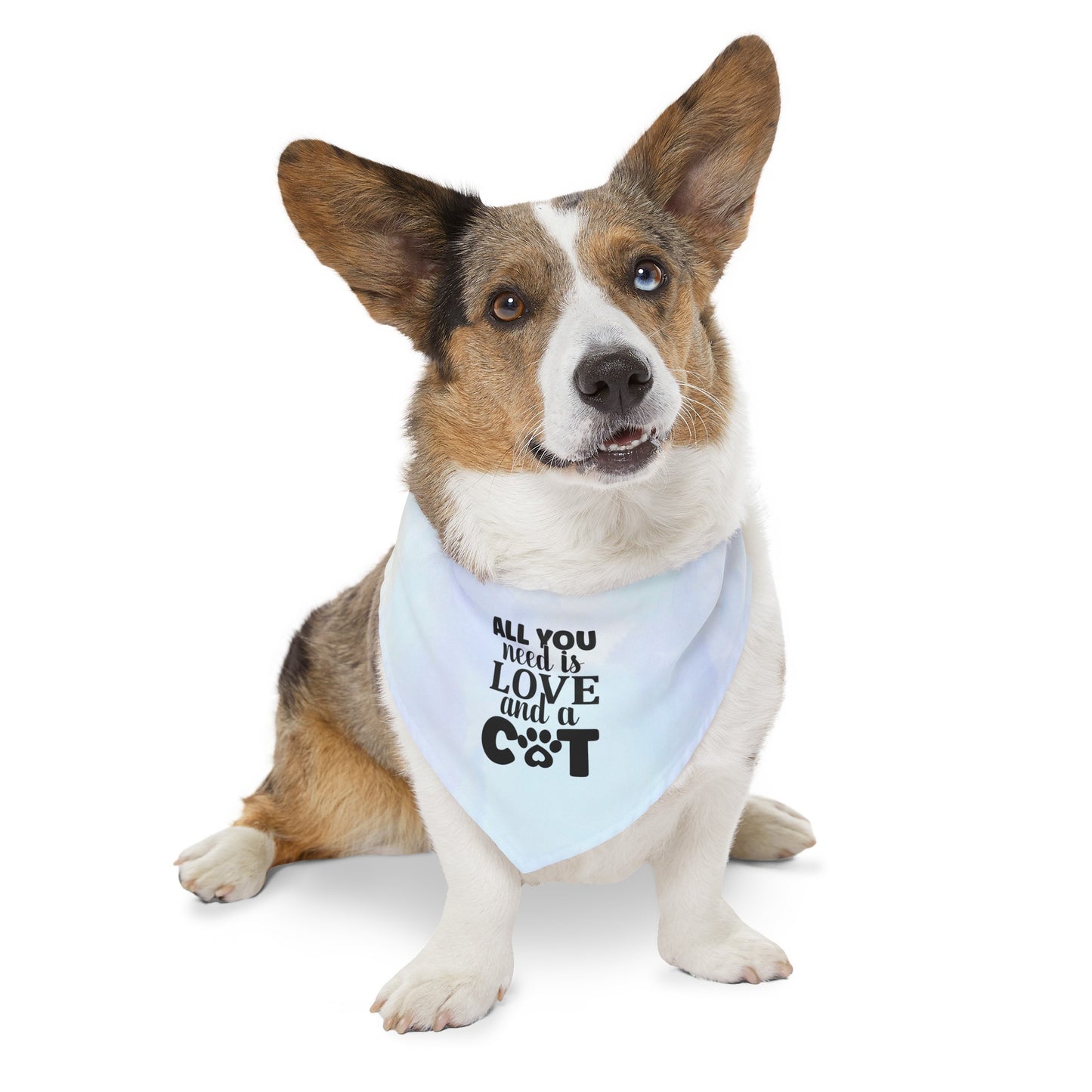 All you need is Love - Pet Bandana Collar